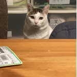 蟹ちゃん