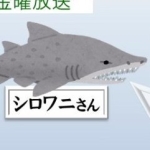 シロワニ