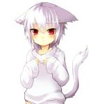 聖龍＠おさしみ