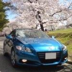 ハナシン