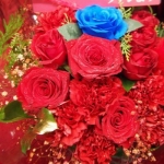 userPhoto
