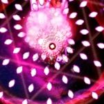 ふにゃみんＴｙｐｅＲ