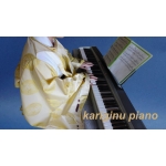 kariginu piano