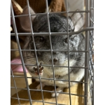 タキート@サブ垢