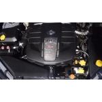 トシ　　　　　　　　　　　　　✨