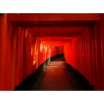 ワンちゃんニ世