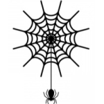 スパイダーネット