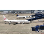 じょーこーじ ミルクティーP