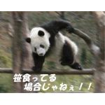 サム