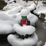 シーーーーーもーーー