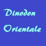 Dinodon