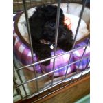 愉快ですよ～～Σ(´∀｀；)エ？