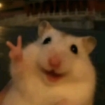 Pブラックラグーン4