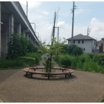 のつほみ