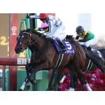 見る専の風太郎@配信しません