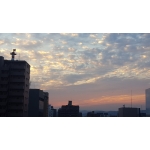 おねがいします！