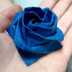 巡回したローザ