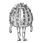 ただのサボテン