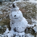 どじょう