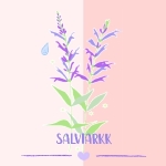 Salviarkk