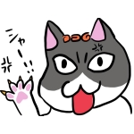 nekokumicho