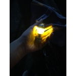 戈吟李(かぎり)