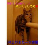 井上（斜めさん）