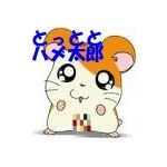 とっととハメ太郎