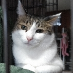 userPhoto