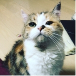 userPhoto