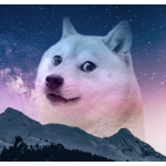 doubdoge