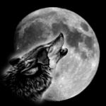 月の狼
