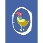 五面鳥