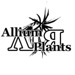 AlliumAIRPlants