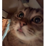userPhoto