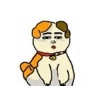 マネーちゃんだお