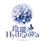 玲瓏のHydrangea