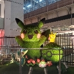 あざらし２