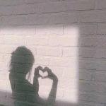 500mlペットボトル