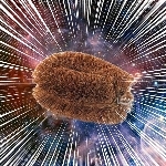 いわし ─目薬─