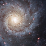 M74