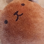 userPhoto