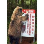 クマヒロ