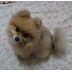 ˙˚ʚ かっちゃん ɞ˚˙