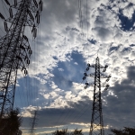 ゆっくりとみた