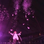 とにかく明るいミルクティー