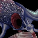 えぞめい_限界卓