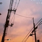りぼん