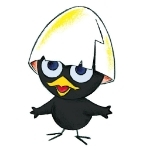 userPhoto