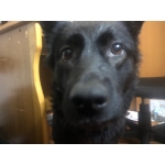 むーちょむくろみ